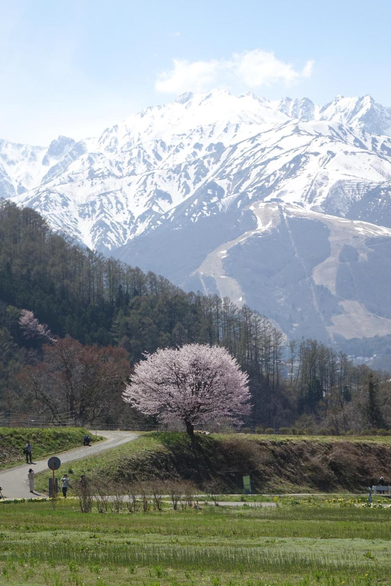 Country Inn Kashiwabara Hakuba Eksteriør billede
